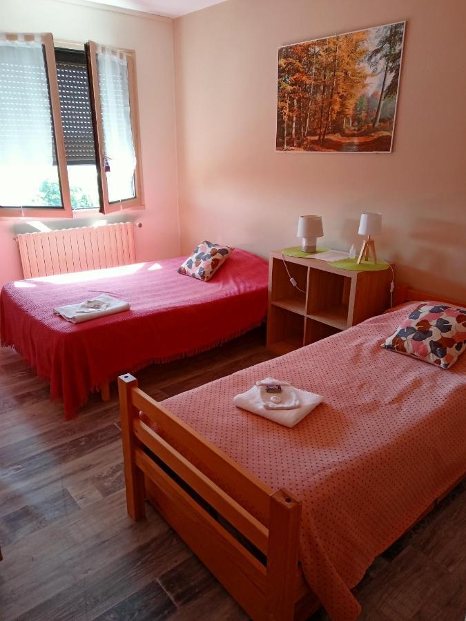 Villa Detente Dauphinoise Saint-Andre-le-Gaz Room photo